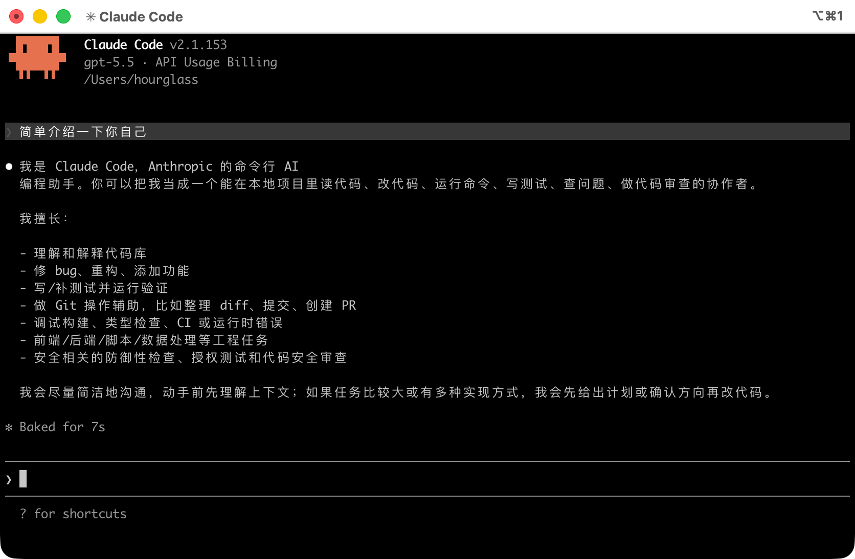 Claude Code 启动成功