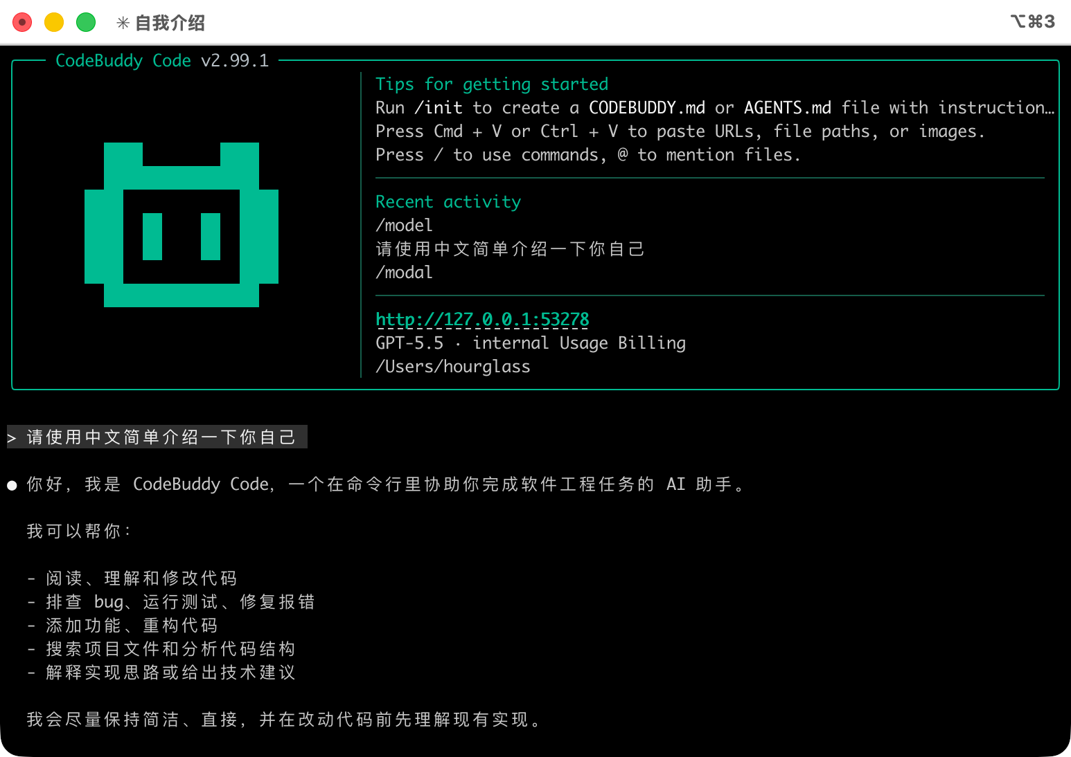 CodeBuddy 启动成功