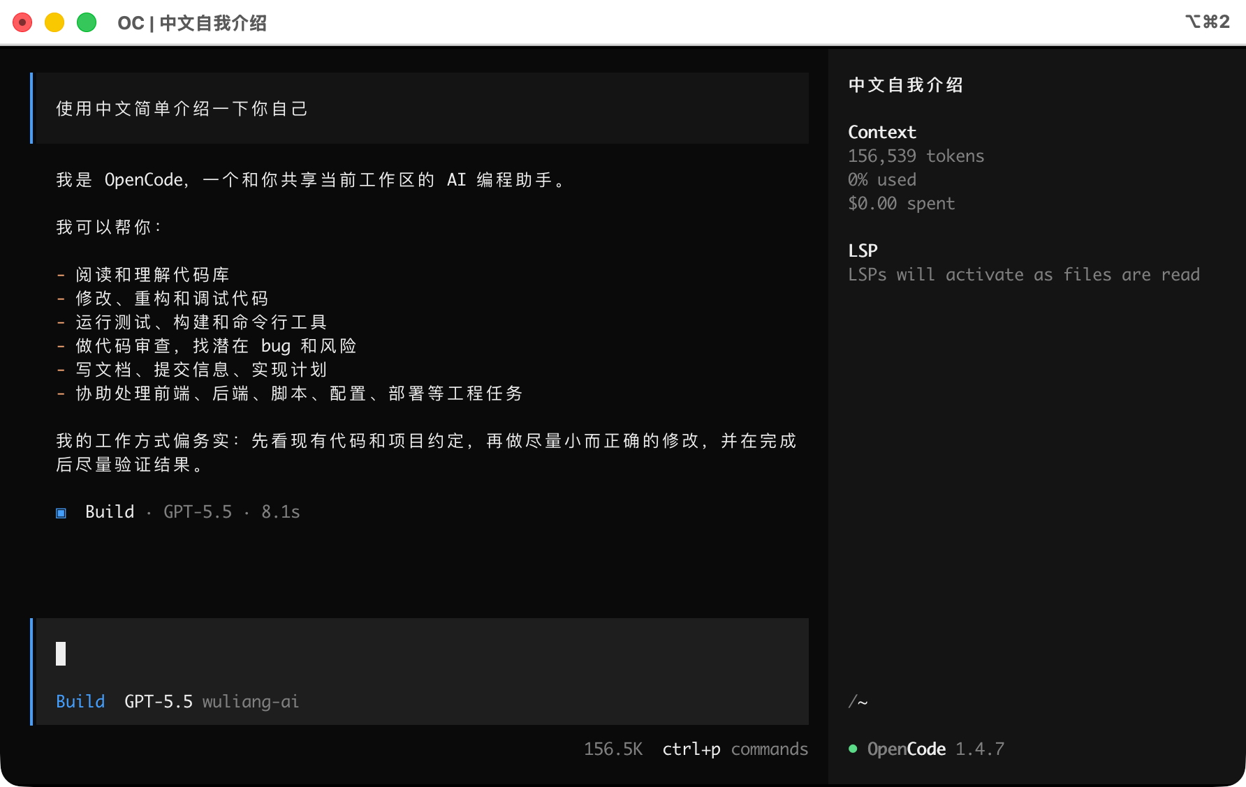 OpenCode 启动成功